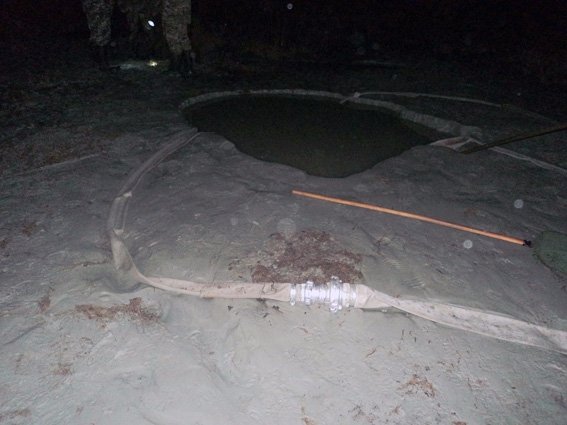 У волинському лісі бурштинокопачі облаштували 15 копанок. ФОТО