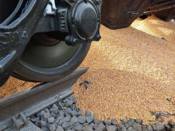 Польські фермери перекрили залізницю і висипали збіжжя з вагона