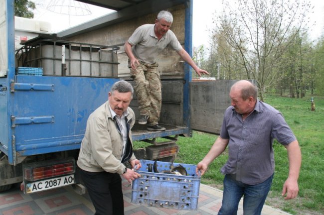 У луцькому парку в канали запустили білого амура