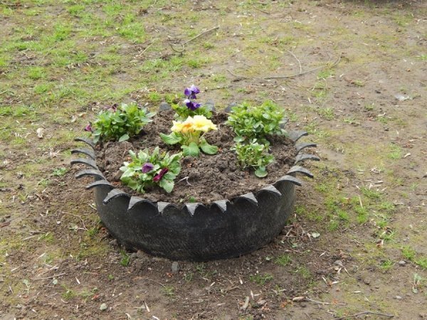 Луцькі «революційні» шини стали забавкою для ведмедів. ФОТО. ВІДЕО