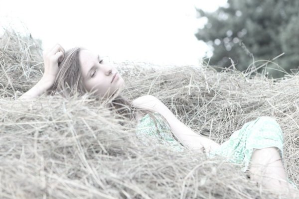 На сіні 6 липня 2013, с.Кримне Волинської обл. Автор Юлія Коровицька