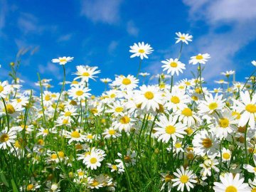 Яке свято 31 травня: чого не можна робити в цей день