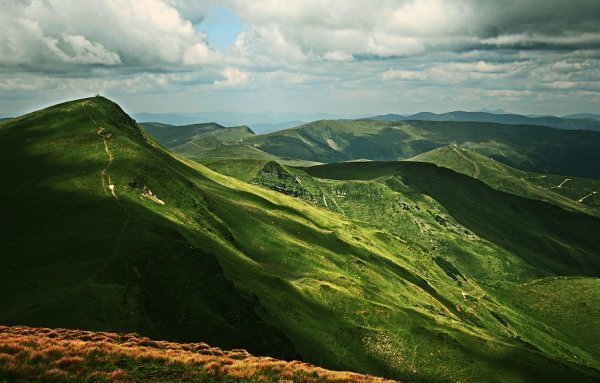 З походу по Свидовецькому хребту, Карпати (серпень 2011)