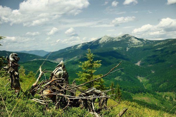 Вид на Сивулю з хребта Товпіширка, Карпати (червень 2012)