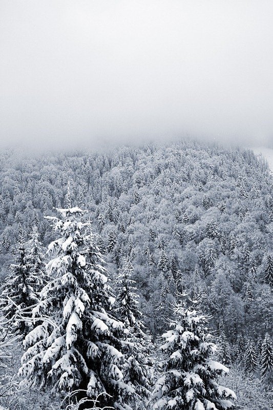 Фотовиставка Віктора Голікова