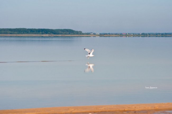 «Змілілий, але затишний», –  лучанка про осінній Світязь. ФОТО