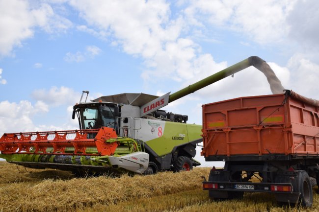 Комбайни з кондиціонерами, європейська зарплата і тонни продукції: як працює ТзОВ «Городище»