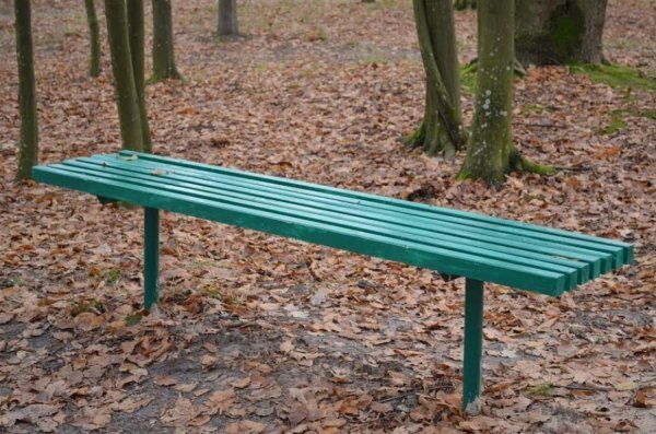 На Волині з'явилася «Лісова алея»