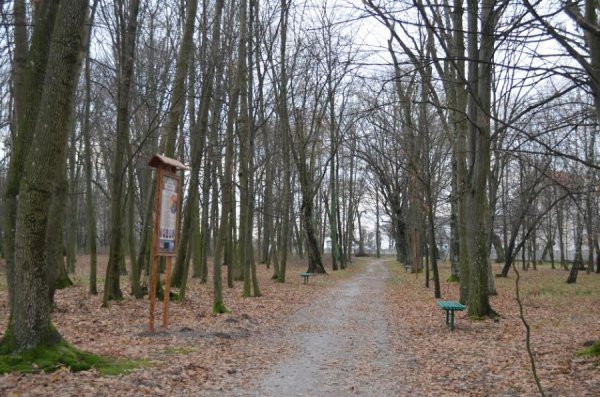 На Волині з'явилася «Лісова алея»