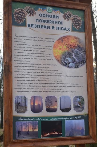 На Волині з'явилася «Лісова алея»