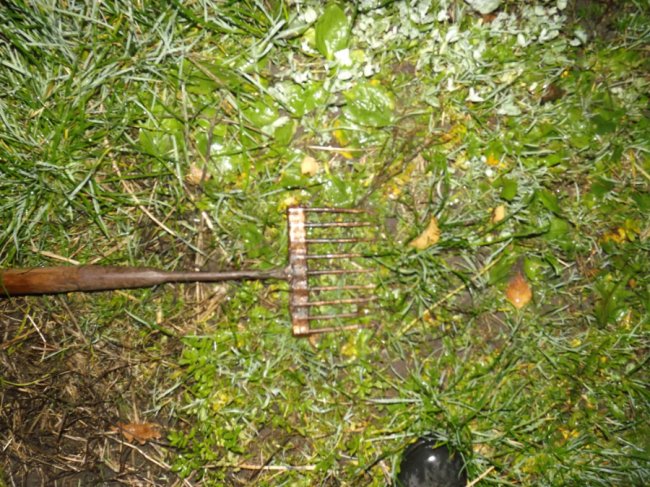 На Волині затримали браконьєрів, які ловили рибу з човна підсакою та острогою. ФОТО