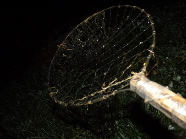 На Волині затримали браконьєрів, які ловили рибу з човна підсакою та острогою. ФОТО