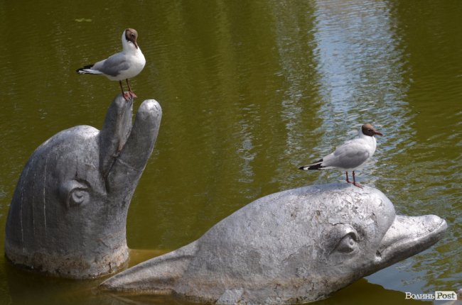 Дітям атовців влаштували екскурсію Луцьким зоопарком