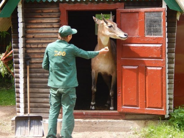 У луцькому зоопарку − новий мешканець. ФОТО