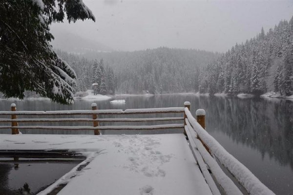 Карпати засипало снігом. ФОТО