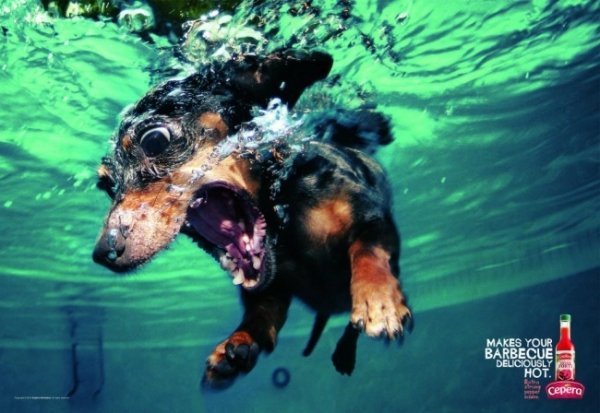 Гострий соус для барбекю Cepera