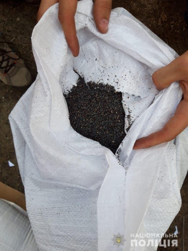 У Сумах наркотичний мак продавали під виглядом звичайного