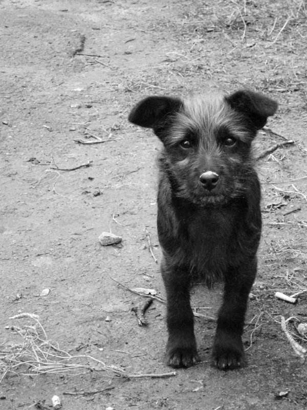 Фотовиставка Валентини Жуги