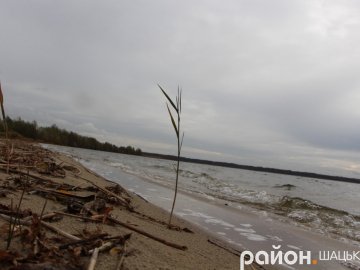 Показали похмуру красу волинського озера. ФОТО