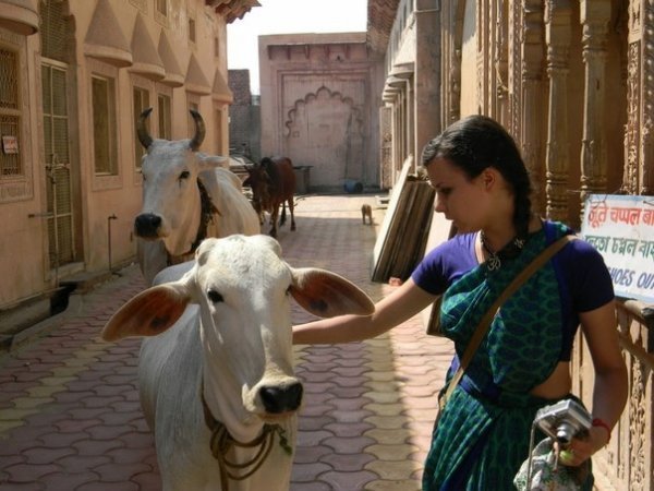 Волиняни місяць мандрували святими місцями Індії. ФОТО