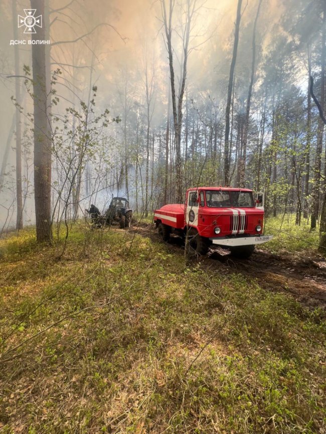 На Волині горіло 5 гектарів лісу. ФОТО