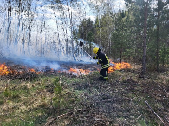На Волині горіло 5 гектарів лісу. ФОТО
