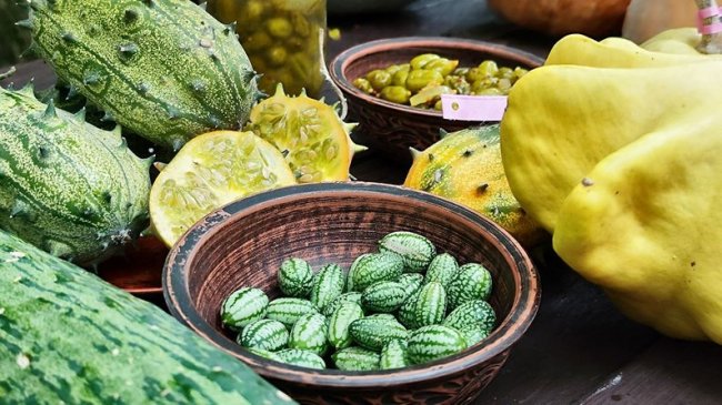 фото Суспільне