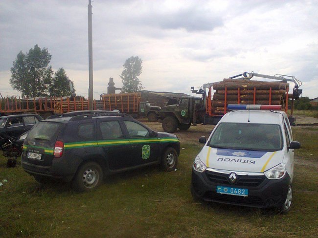 На Волині на пилорамі виявили немарковану деревину