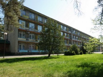 «Лісовій пісні» шукатимуть нового керівника