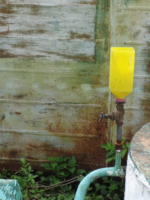 Фотовраження дизайнера від Луцька