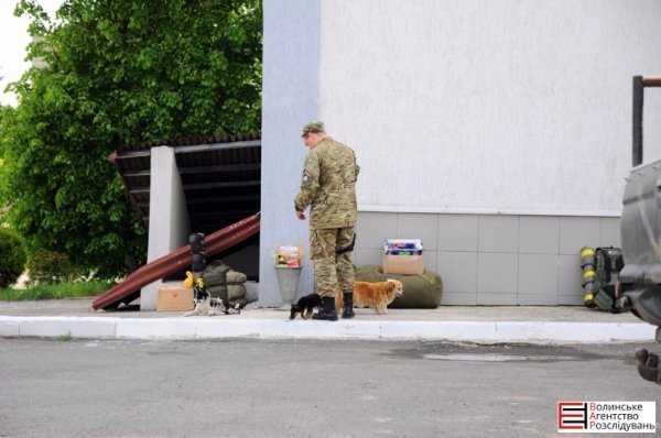 Бійці «Світязя» повернулися з ротації без втрат. ФОТО