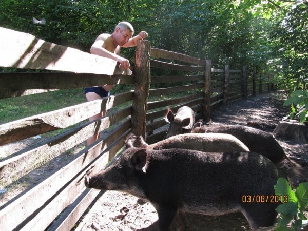 Тверезий відпочинок по-волинськи. ФОТО. ВІДЕО