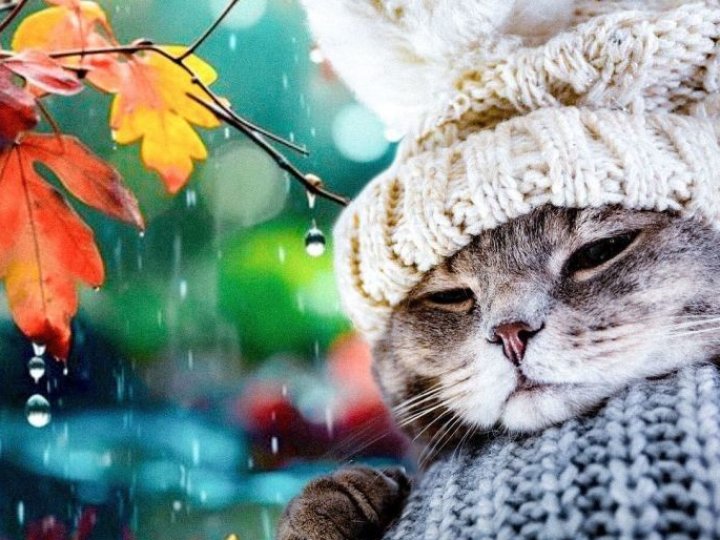 Якою буде погода у Луцьку та на Волині у неділю, 19 жовтня