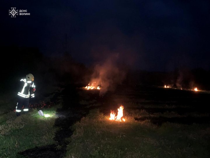 У Боголюбах – чимала пожежа сухостою