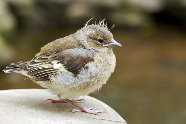 Фотовиставка Костянтина Барана
