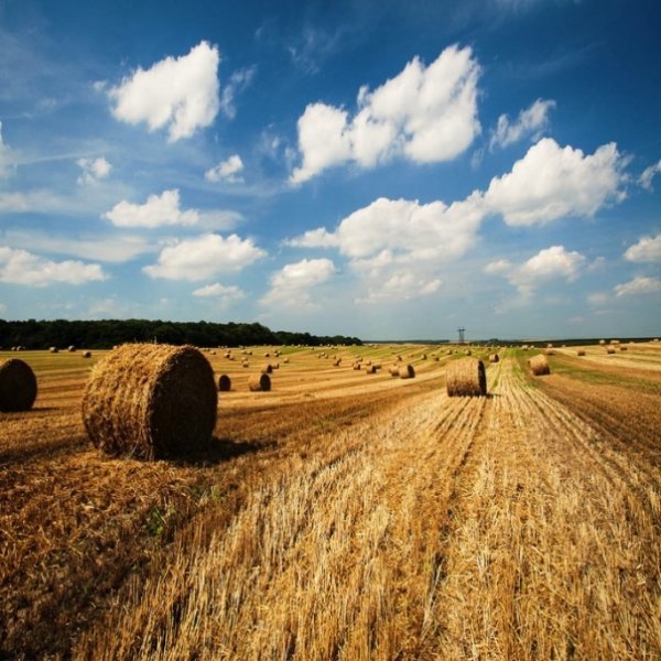 Фотовиставка Костянтина Барана