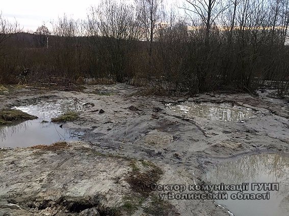 На Волині шість чоловіків незаконно видобували бурштин. ФОТО