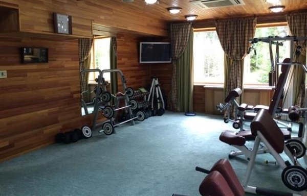 Дача Медведчука на Закарпатті. ФОТО 