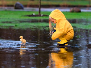 Якою буде погода в Луцьку у вівторок, 12 червня
