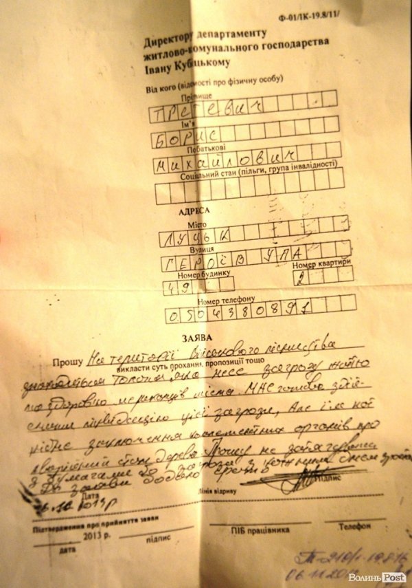 У Луцьку величезні сухі дерева можуть гепнутися просто на дорогу. ФОТО