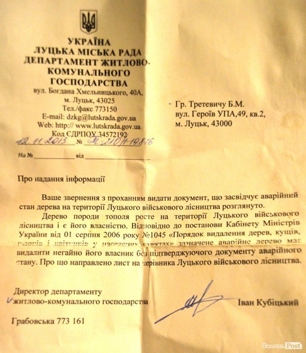 У Луцьку величезні сухі дерева можуть гепнутися просто на дорогу. ФОТО