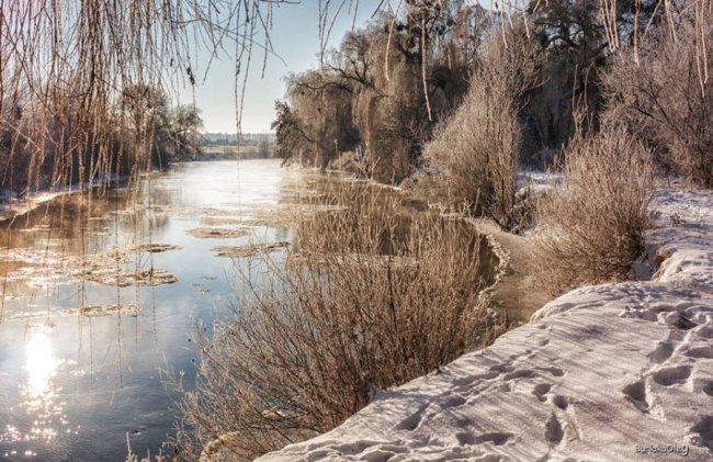 Луцький фотограф опублікував світлини зимового Стиру