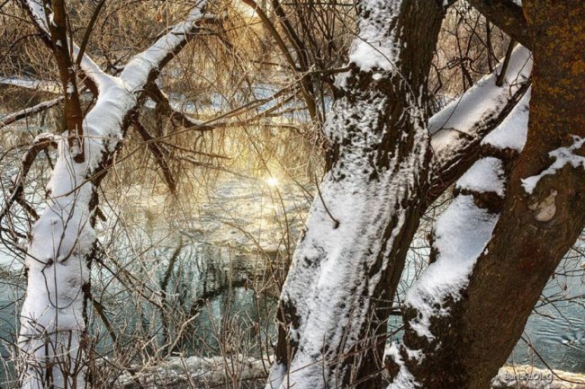 Луцький фотограф опублікував світлини зимового Стиру