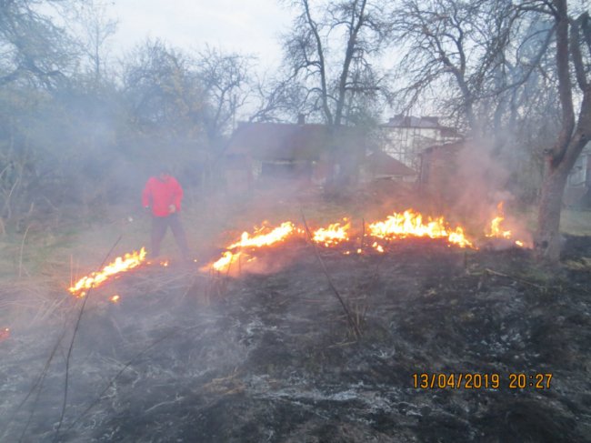Вогонь вже підбирався до будинку: у Луцьку через палія сухостою ледь не загорілась хата. ФОТО