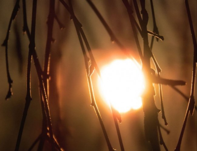 Краса вечірнього Берестечка: зворушливі фото