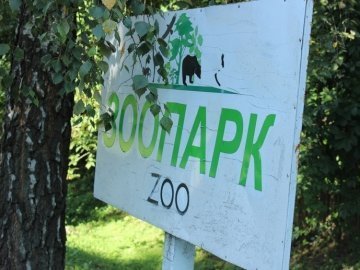 Попри скандал мерія Луцька підписала договір з переможцем тендеру на ремонт зоопарку