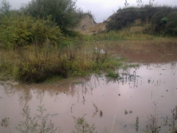 НП на Волині: нечистоти з відстійника затопили територію. ФОТО