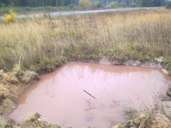 НП на Волині: нечистоти з відстійника затопили територію. ФОТО