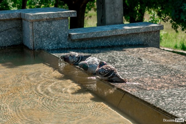 Перший день літа у Луцьку. ФОТОРЕПОРТАЖ 