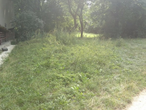 У Луцьку перевірили умови благоустрою. ФОТО